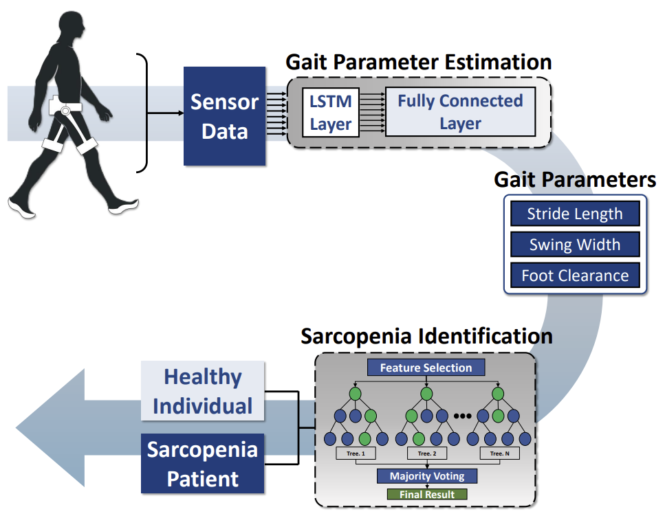 Sarcopenia gait assessment media